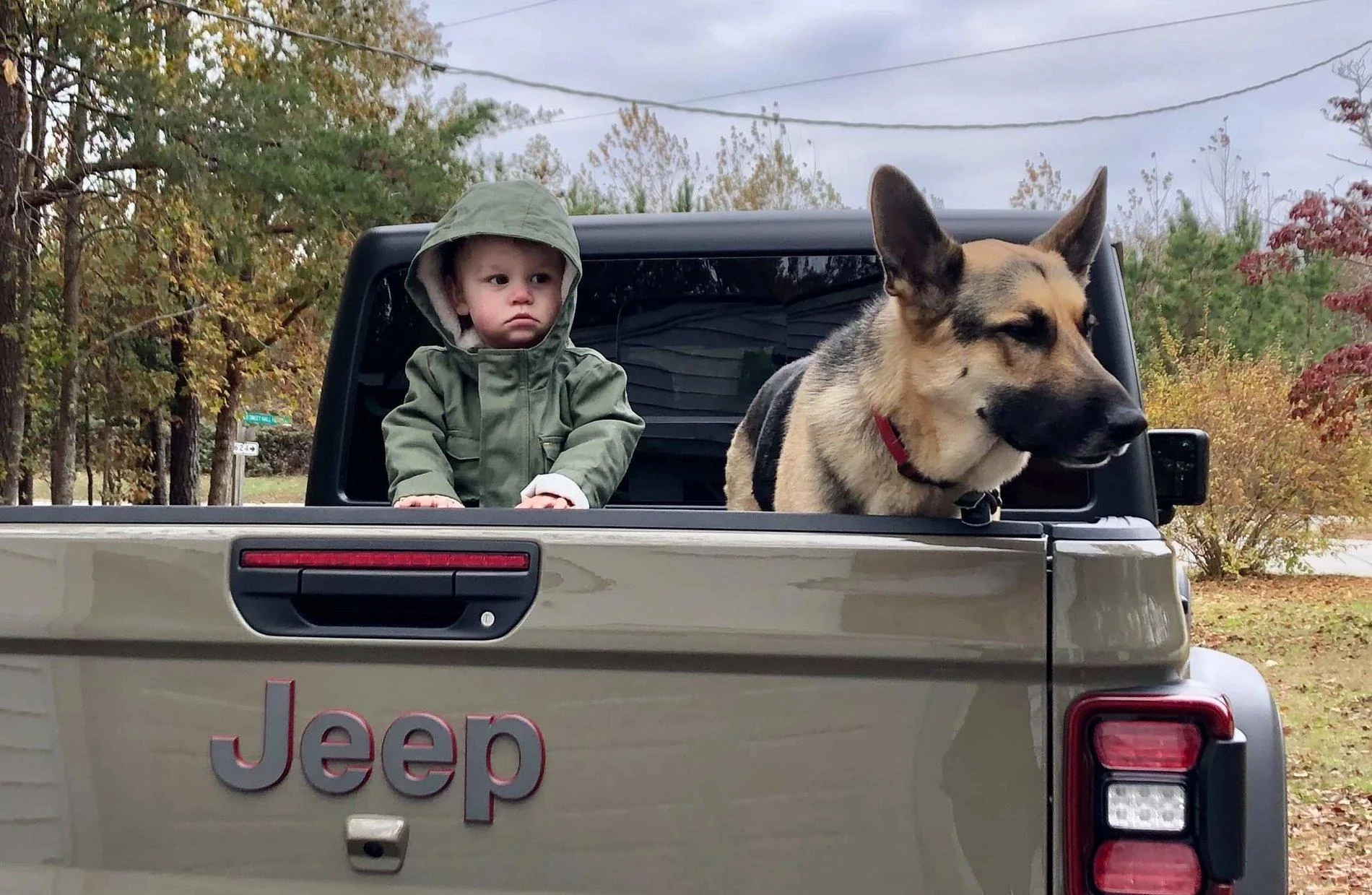 Jeep Gladiator Gladiator guards ...whose truck is it really? received_2395535227429203