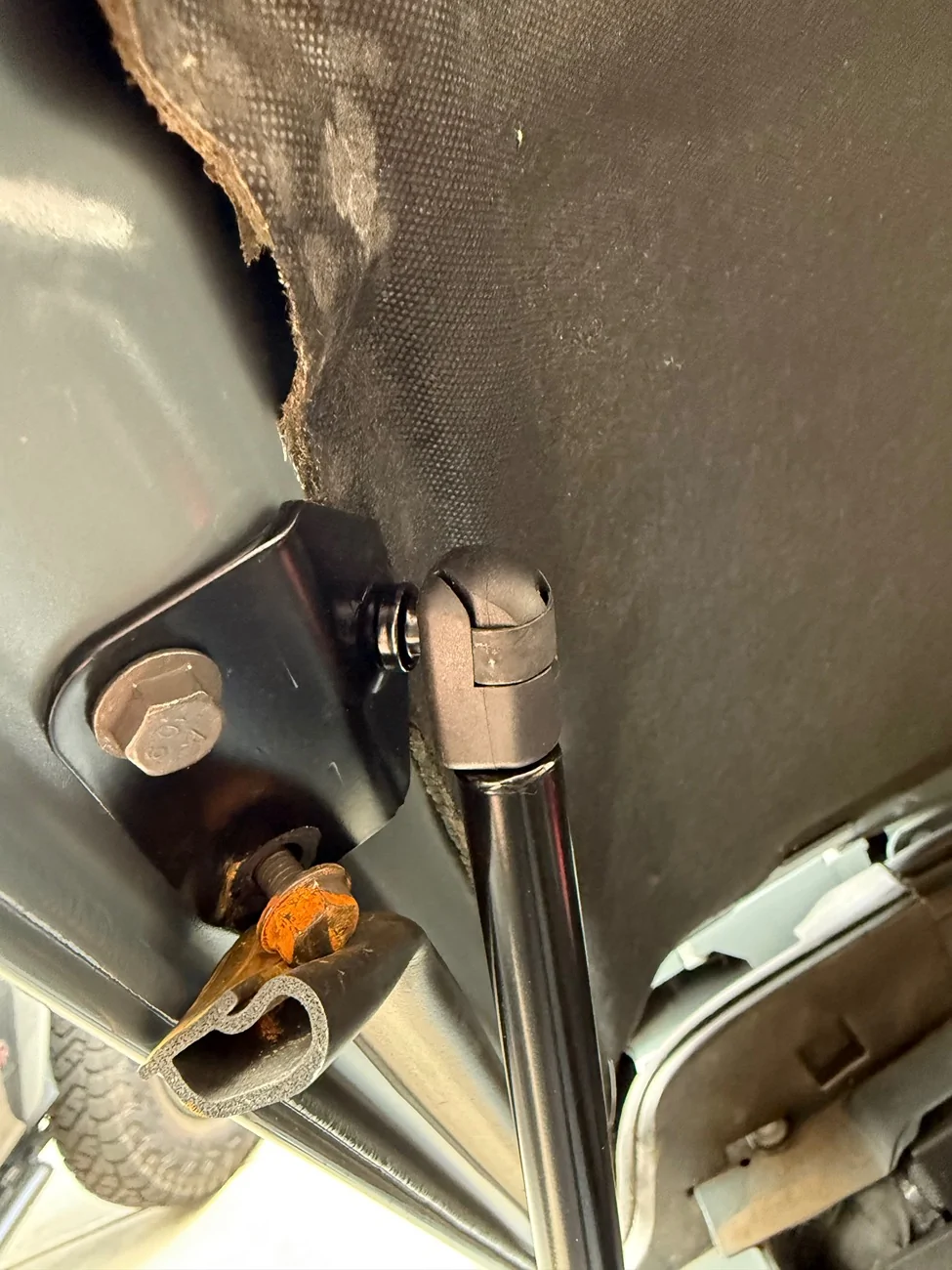 Jeep Gladiator ❗Tecbaba New Product | Hood Lift Supports Struts | 20%OFF | Promocode:YSLXLF54 IMG_8455