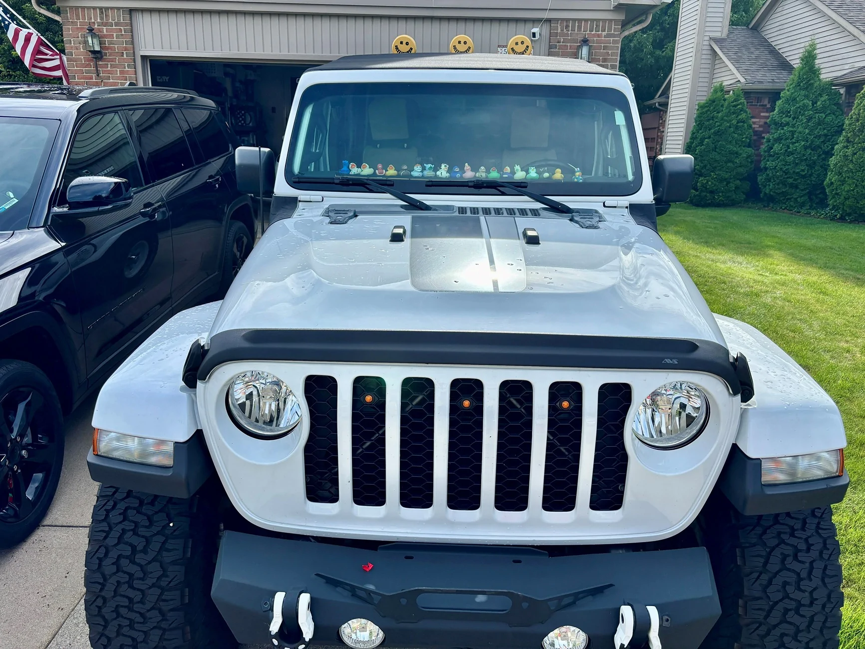 Jeep Gladiator Rock/salt chips in hood AVS 1