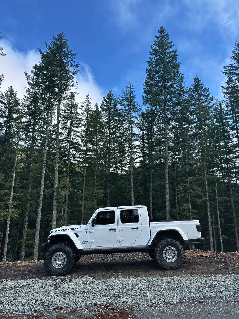 Jeep Gladiator Let's see your setups! 26eb9b5d-bb3a-4881-8131-fd7579f74783
