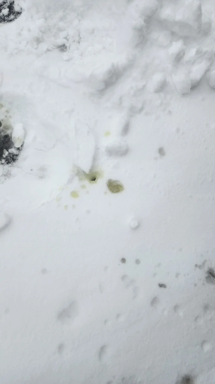 Jeep Gladiator WTF is this fluid? Also got some snow today... 20260223_163948