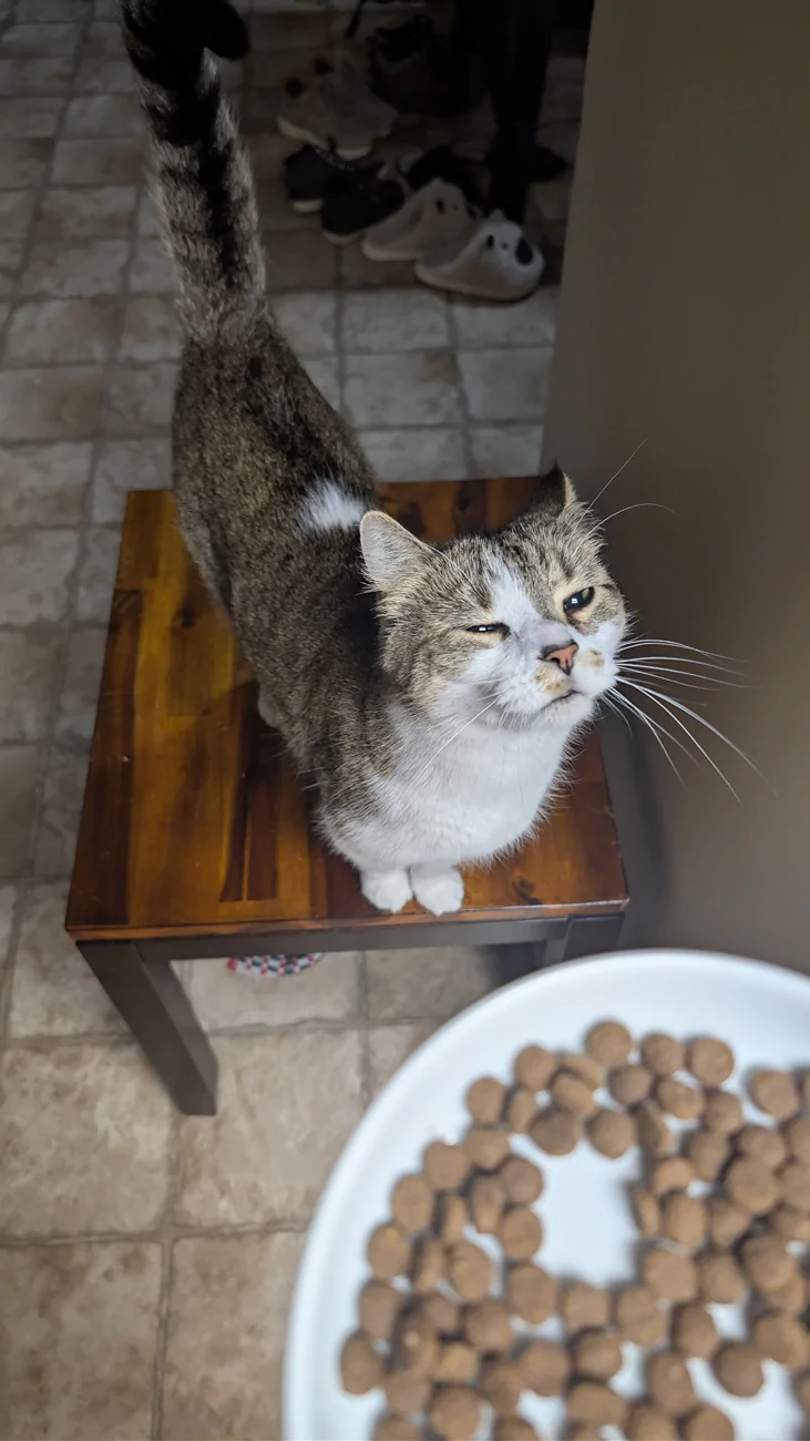 Jeep Gladiator What did you do TO your Gladiator today? [ADMIN WARNING: NO POLITICS, NO GUN TALK] PXL_20260217_132008002(1)