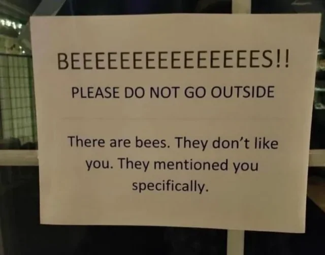 Jeep Gladiator O 1773016931190-1n