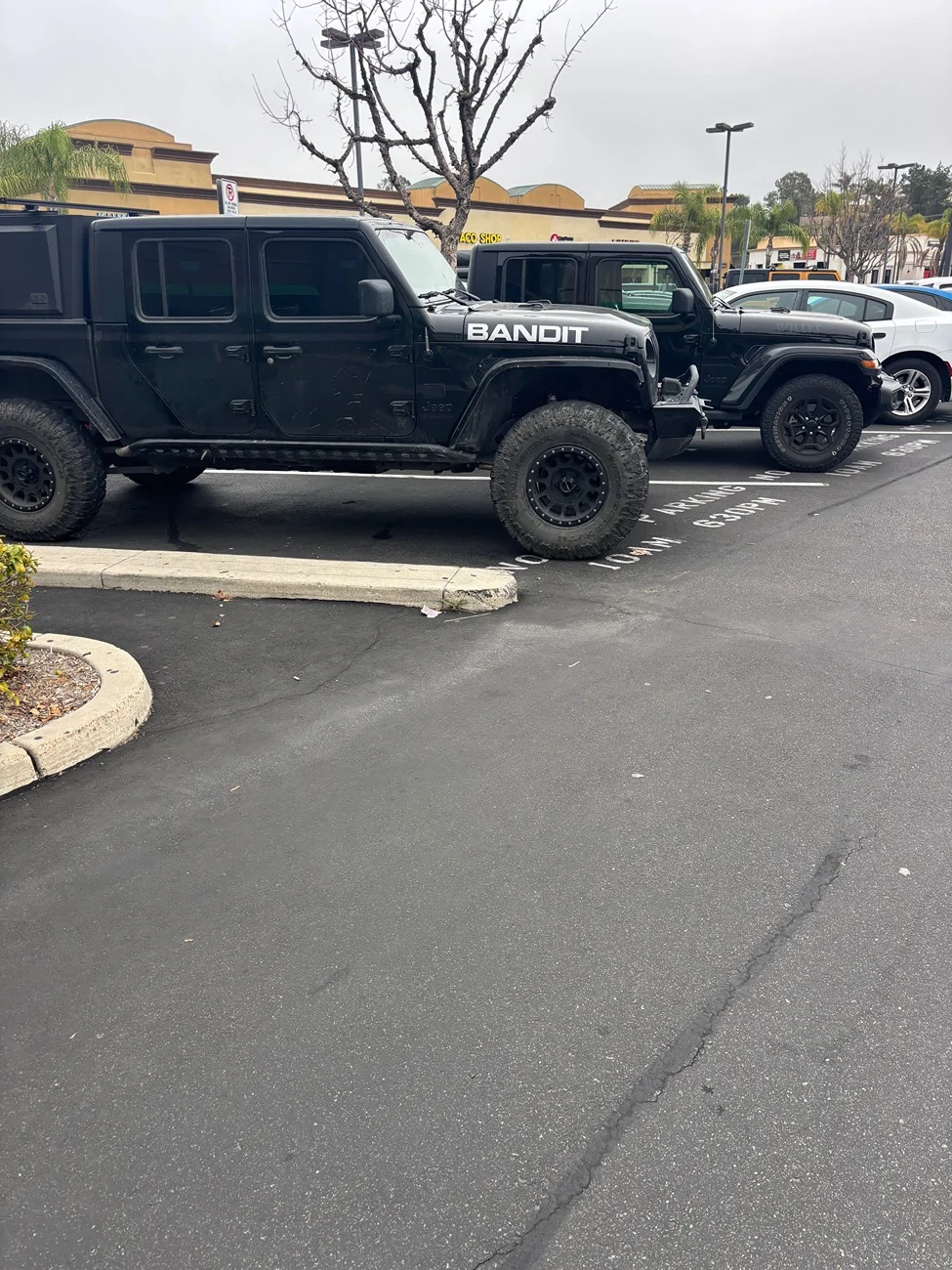 Jeep Gladiator Jeeps Parking Next To Jeeps IMG_2024