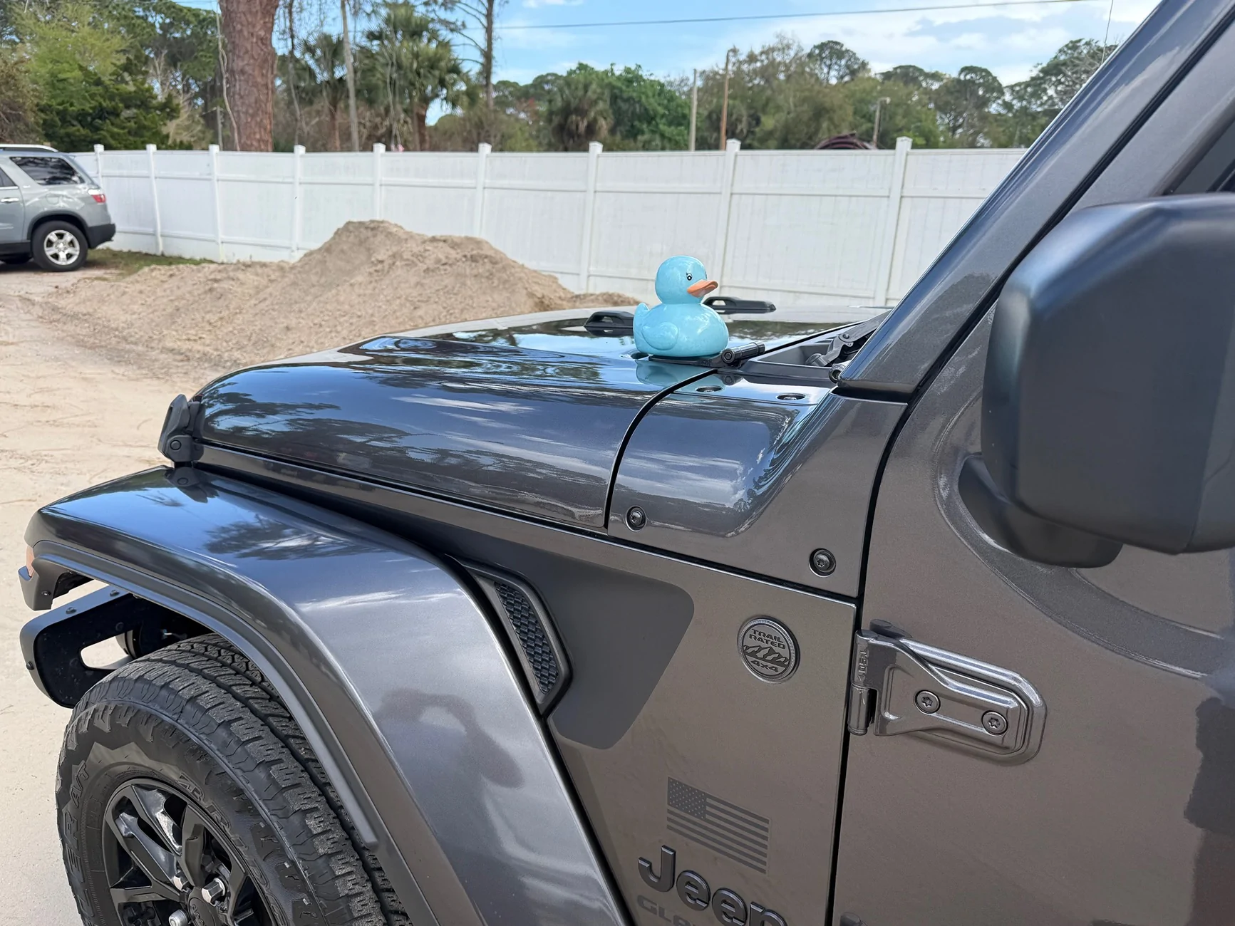 Jeep Gladiator I Have Been Seriously Ducked IMG_1744