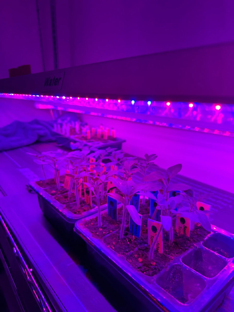 Jeep Gladiator What did you do WITH your Gladiator today? IMG_3335