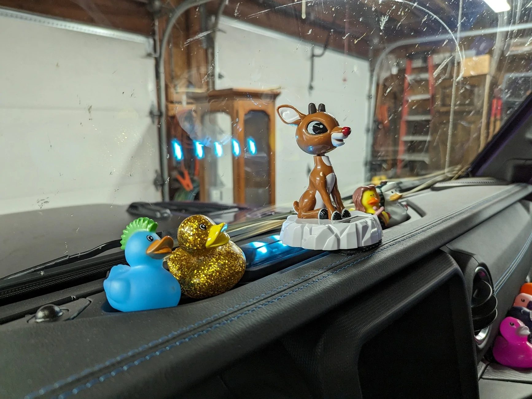 Jeep Gladiator What the Duck ?? PXL_20240521_170113770