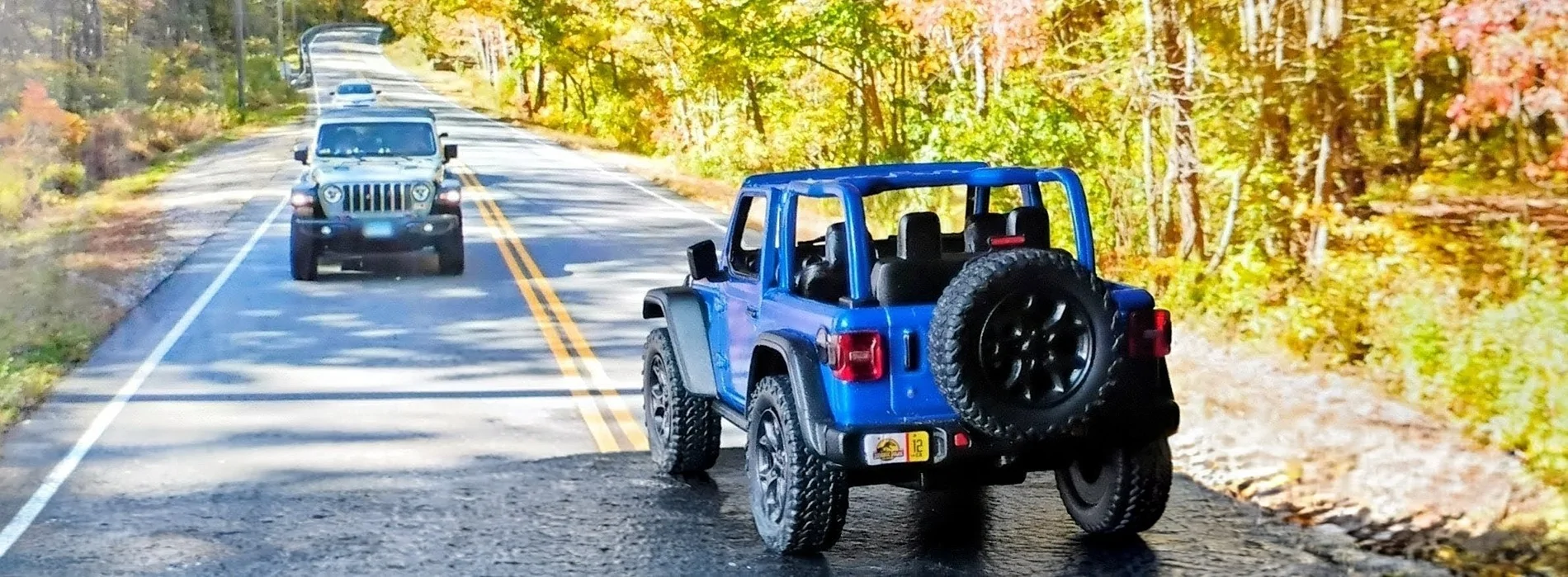Jeep Gladiator new to the forum 1000022618