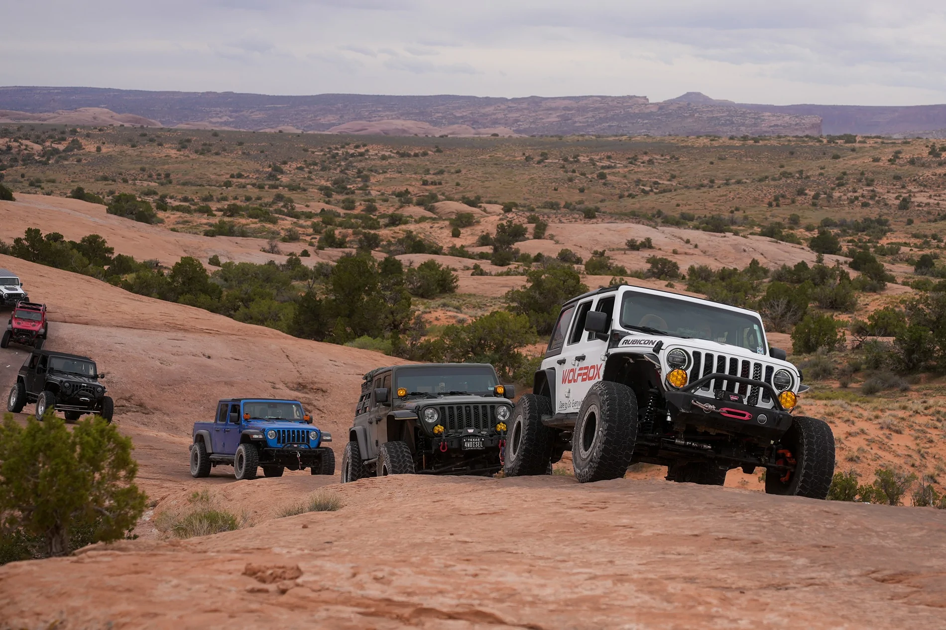 Jeep Gladiator 2026 Easter Jeep Safari X Wolfbox! Did You Take Your Adventure? Visit our booth! (Photo-loaded) 20260402-150337