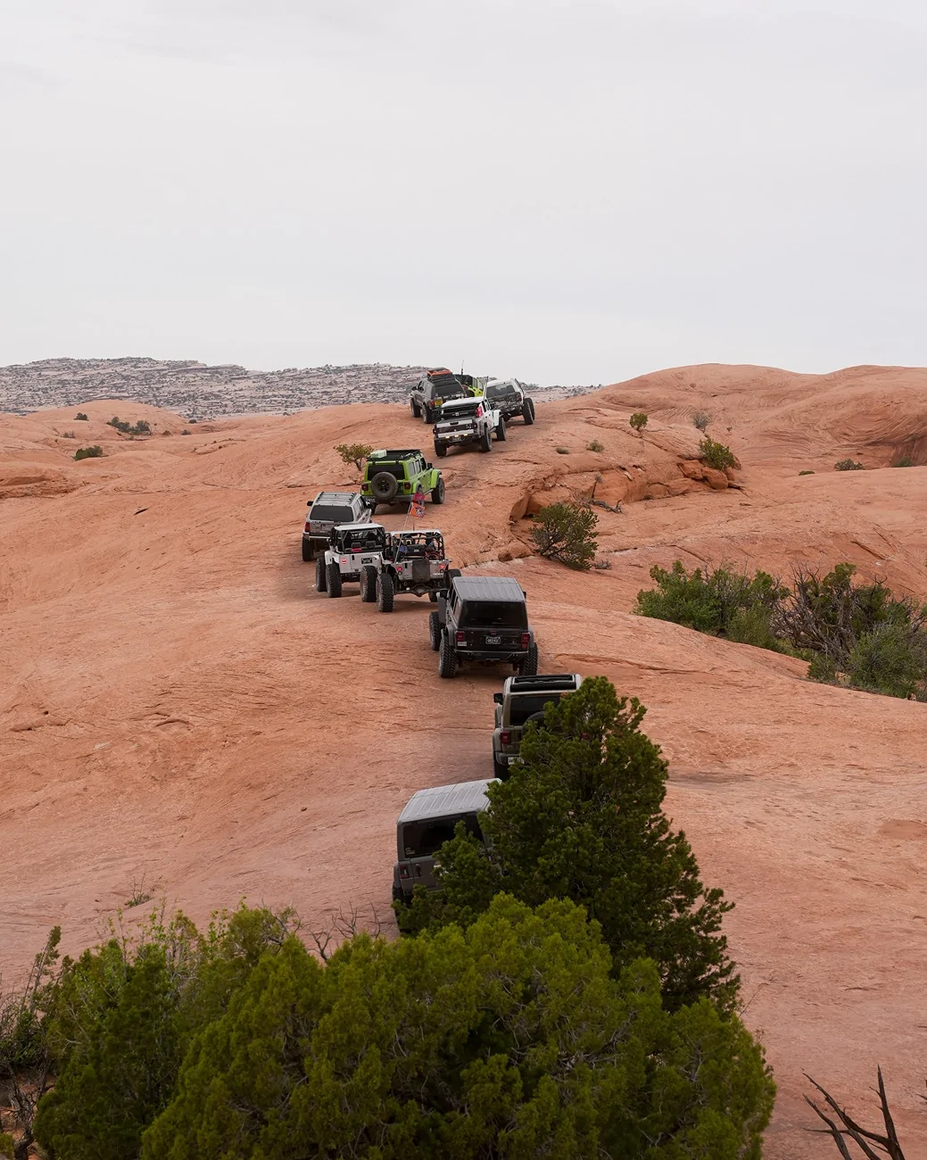 Jeep Gladiator 2026 Easter Jeep Safari X Wolfbox! Did You Take Your Adventure? Visit our booth! (Photo-loaded) 20260402-150351