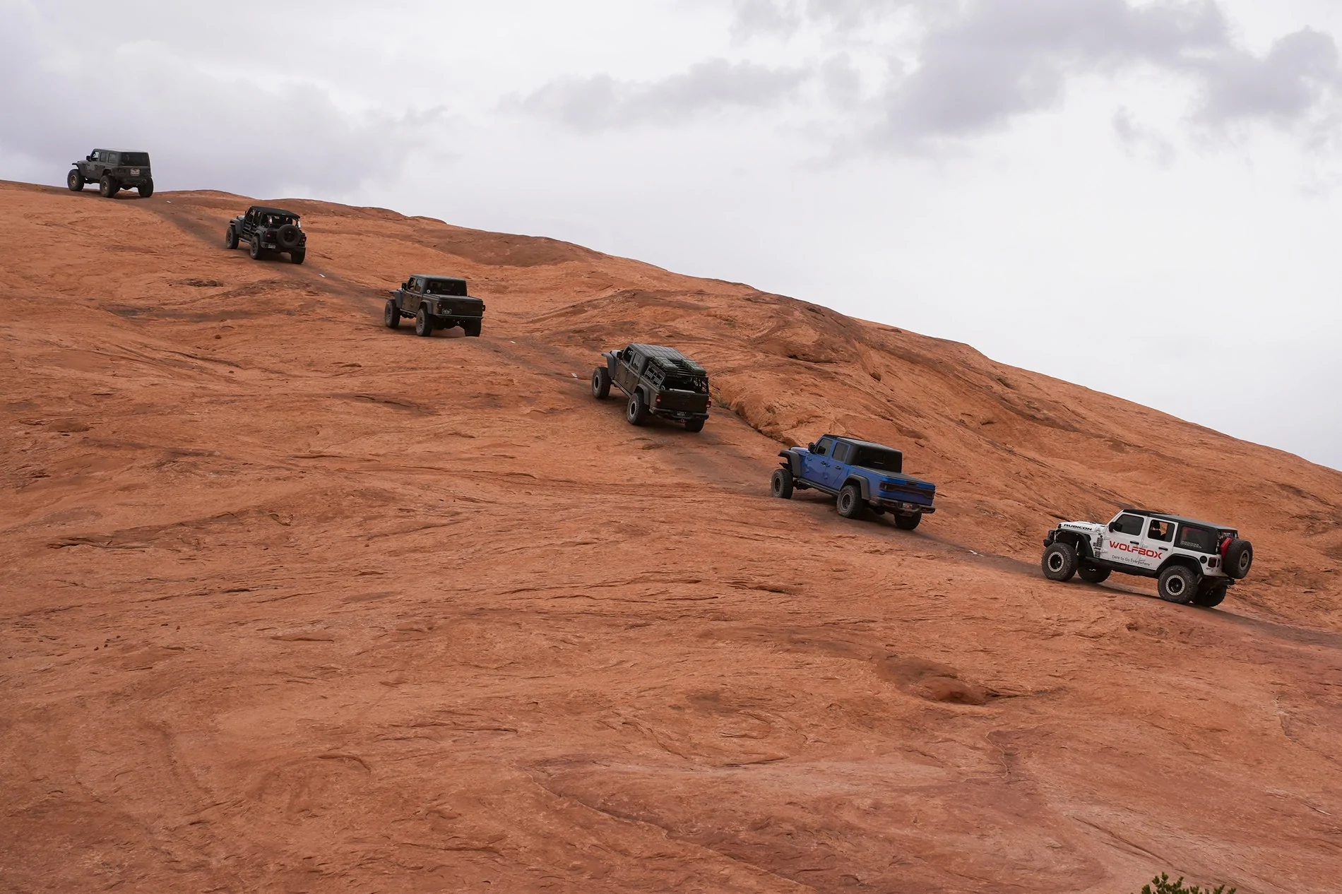 Jeep Gladiator 2026 Easter Jeep Safari X Wolfbox! Did You Take Your Adventure? Visit our booth! (Photo-loaded) 20260402-150358
