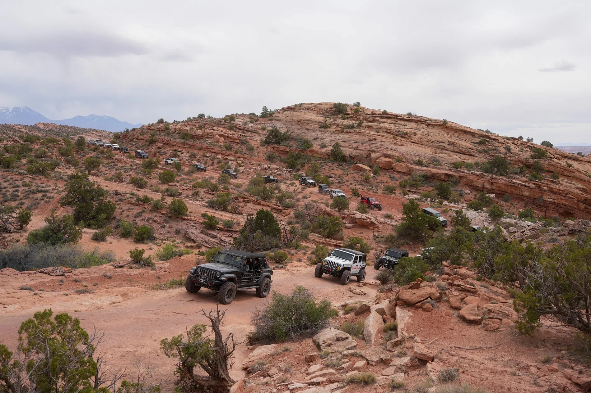Jeep Gladiator 2026 Easter Jeep Safari X Wolfbox! Did You Take Your Adventure? Visit our booth! (Photo-loaded) 20260402-150328