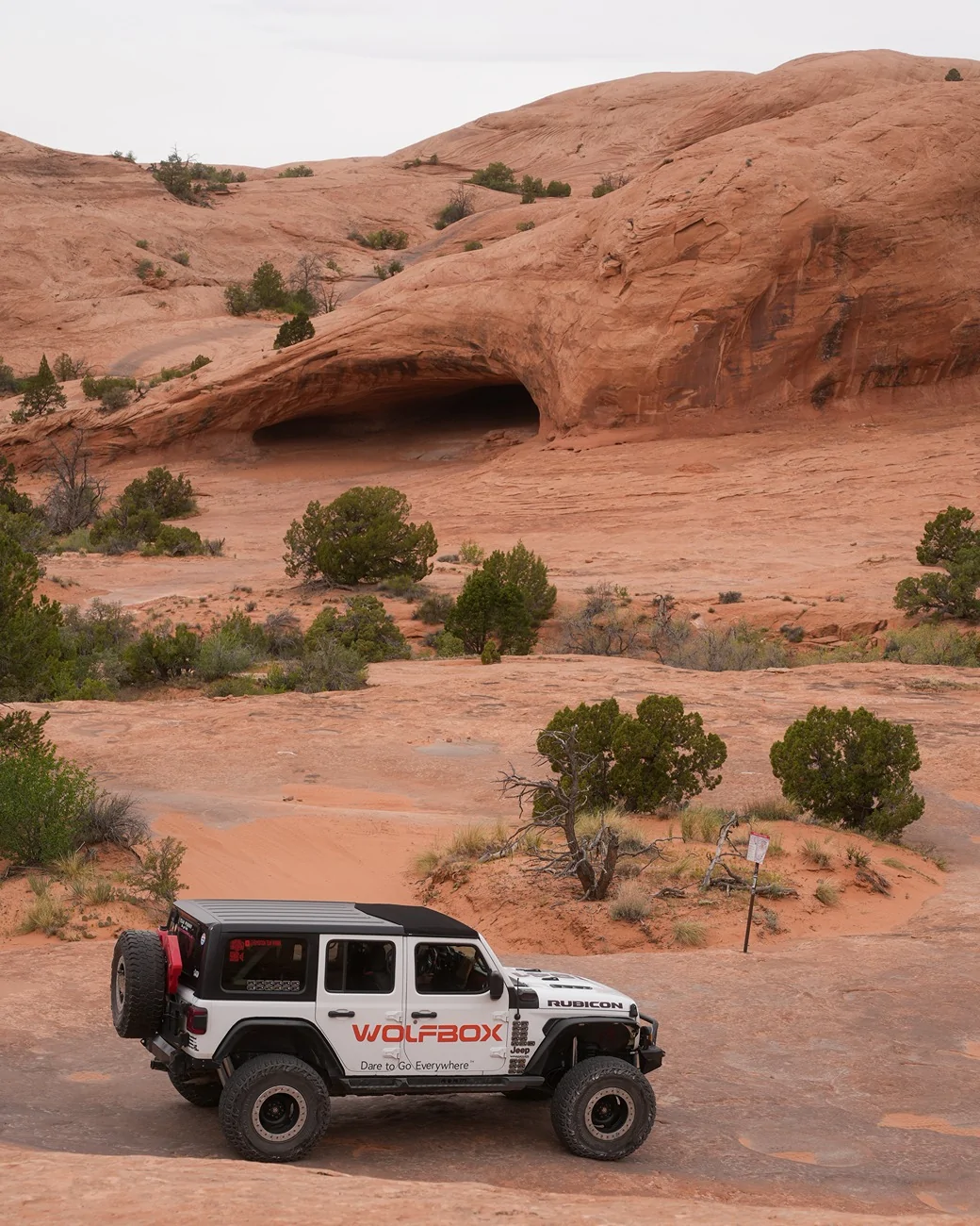 Jeep Gladiator 2026 Easter Jeep Safari X Wolfbox! Did You Take Your Adventure? Visit our booth! (Photo-loaded) 20260402-150405