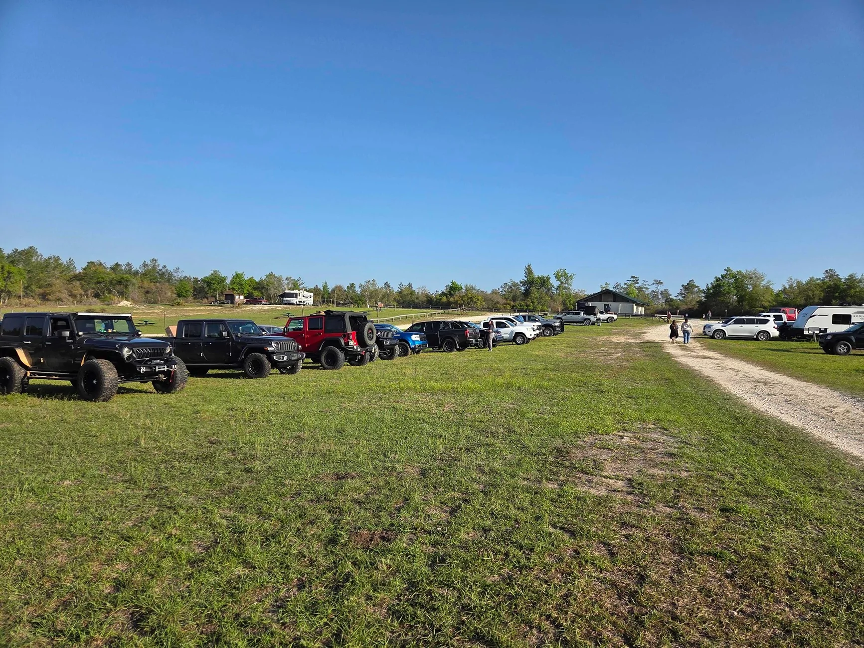 Jeep Gladiator Ocala National Forest Trail Cleanup: Reopening a Jeep Badge of Honor Trail 1000023888