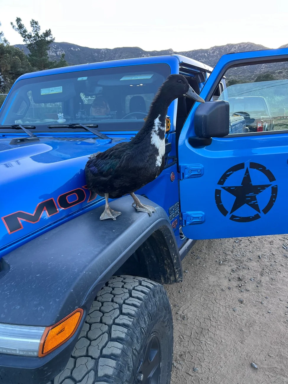 Jeep Gladiator What the Duck ?? IMG_3102
