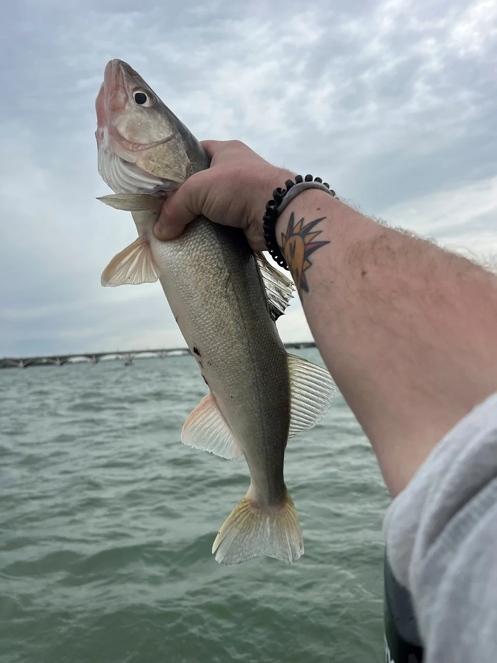 Jeep Gladiator What Did you, Or Are You Cooking Today? Walleye 1