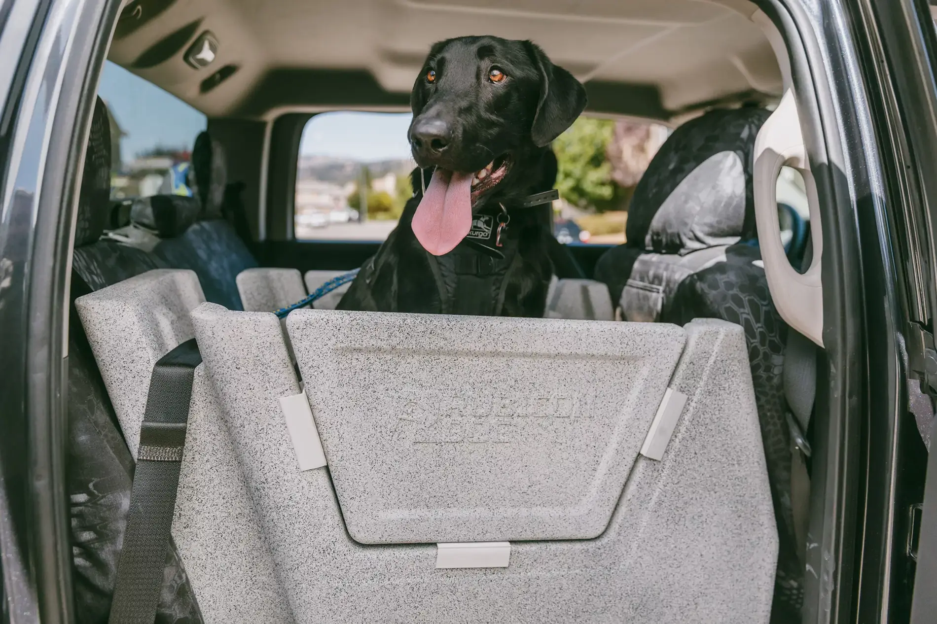 Jeep Gladiator Mopar announces Mopaw, new line of travel and vehicle‑related pet accessories IMG_2101