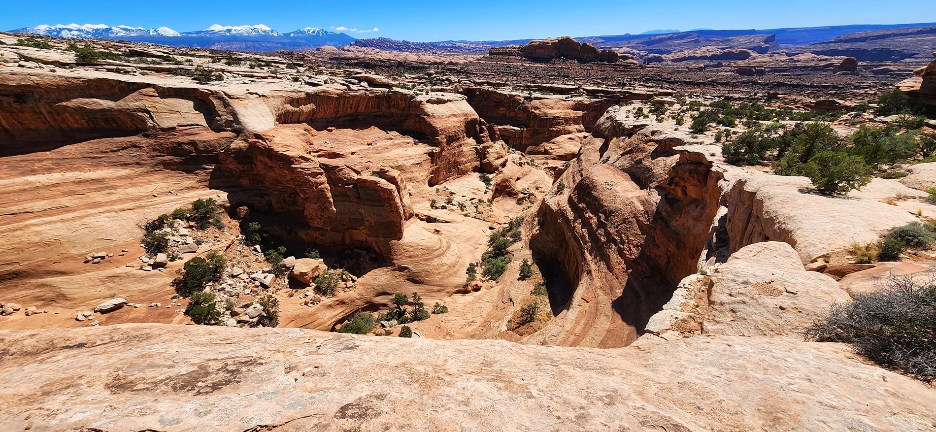 Jeep Gladiator 60th Easter Jeep Safari (Final) Day 5 - Moab Trifecta: Poison Spider Mesa, Golden Spike, Gold Bar Rim 20260403_134507