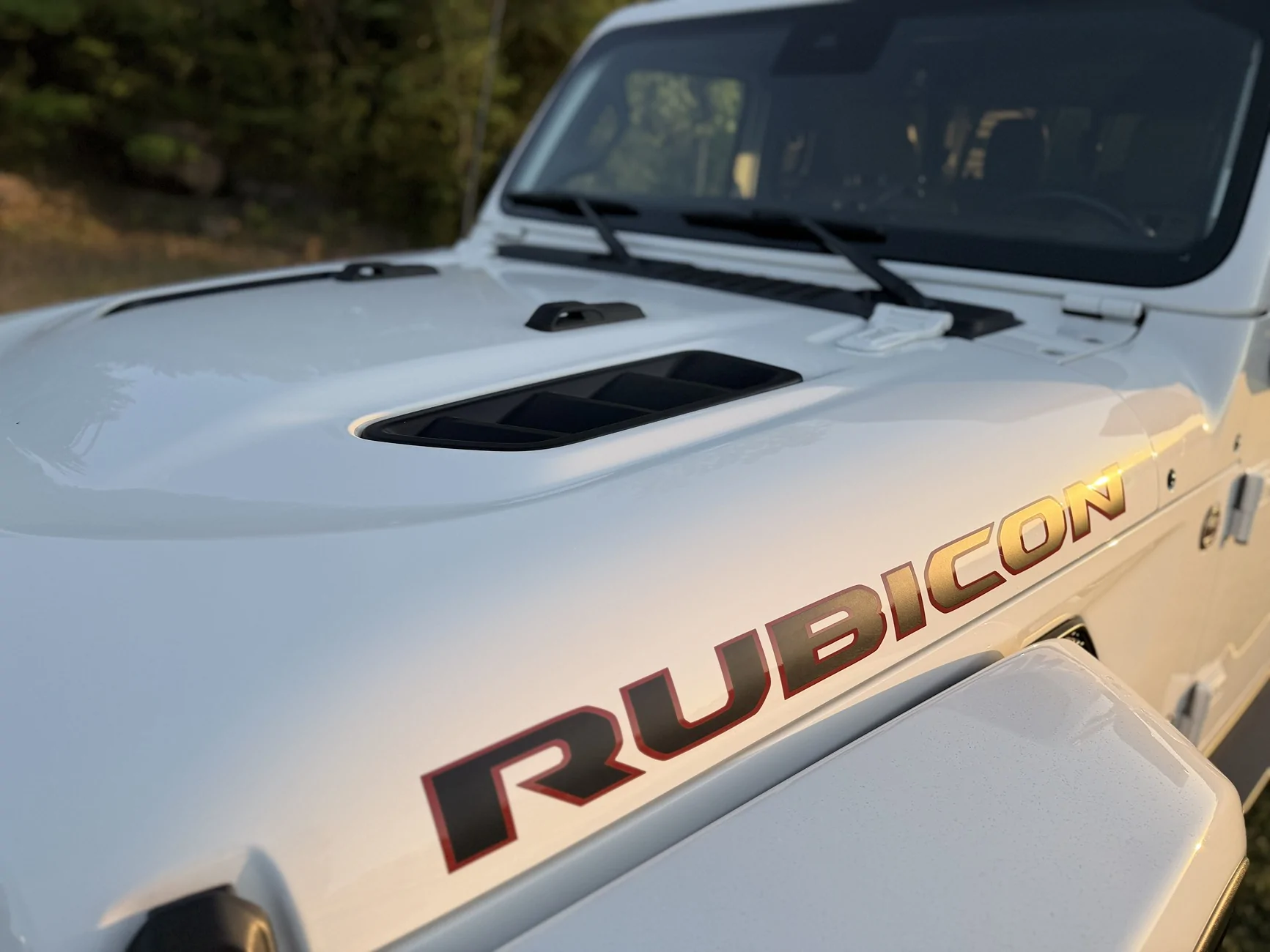 Jeep Gladiator FOR SALE: 2021 Jeep Gladiator Rubicon Diesel built by Rebel Offroad 52.9k OBO IMG_E4170