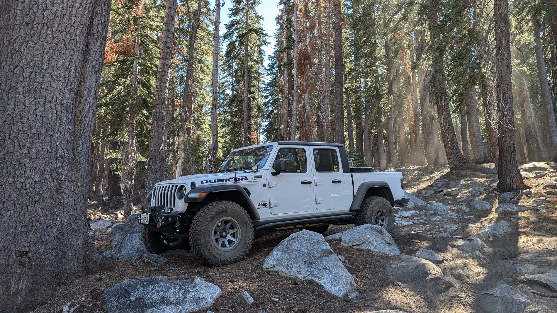 Jeep Gladiator Gladiators show me your wheels ! PXL_20240928_213400409