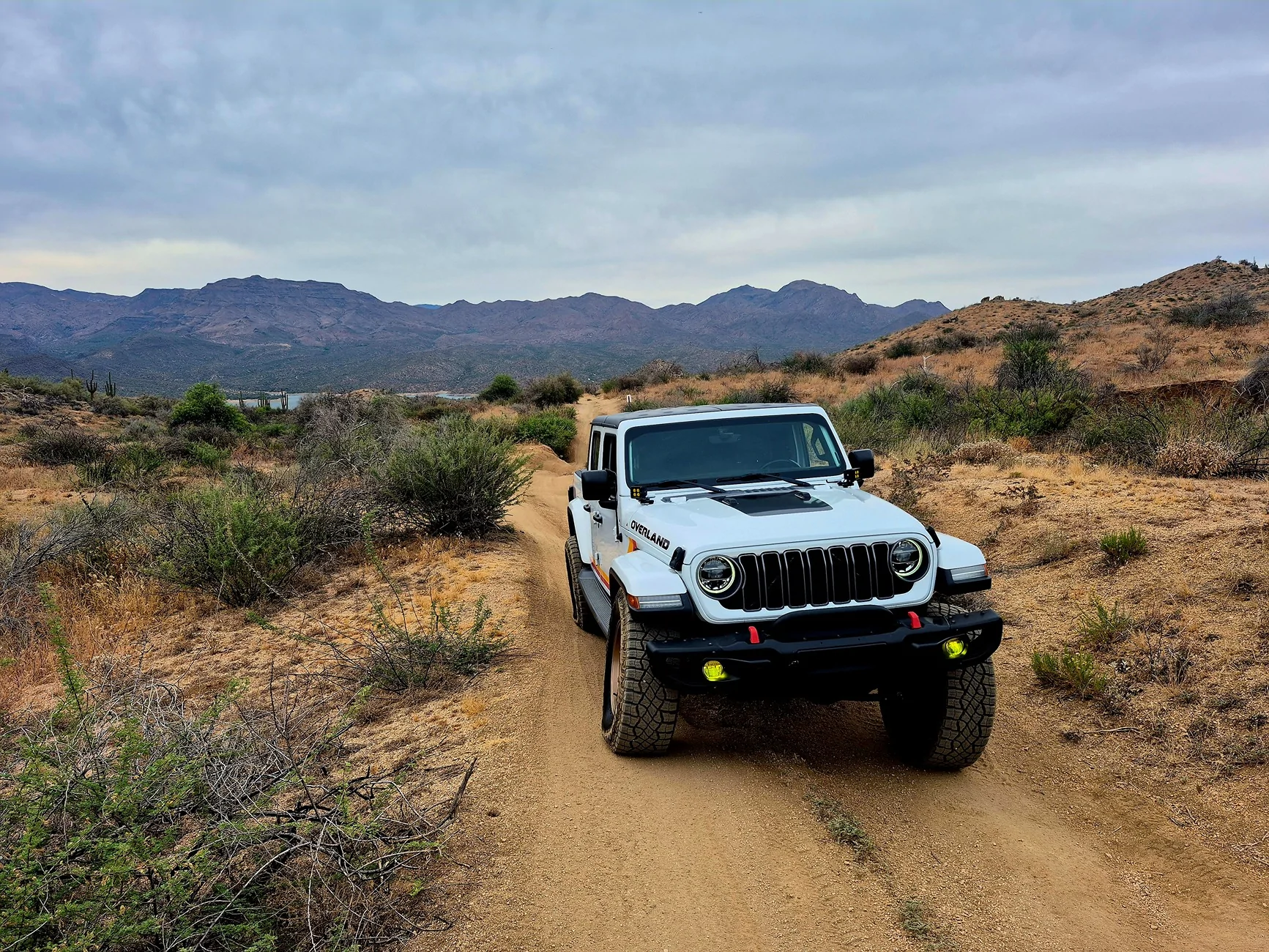 Jeep Gladiator Cool Daily Random JT Gladiator Pics -- Post Em! 📸 1000008685