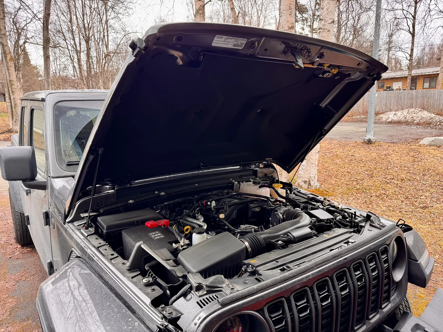 Jeep Gladiator What did you do TO your Gladiator today? [ADMIN WARNING: NO POLITICS, NO GUN TALK] IMG_9450