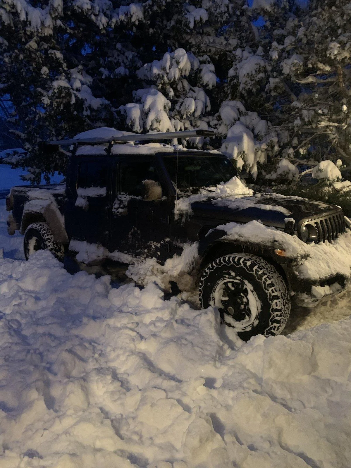 Jeep Gladiator What did you do TO your Gladiator today? [ADMIN WARNING: NO POLITICS, NO GUN TALK] 589ABEEE-890F-496F-96B8-4B9B292501FC