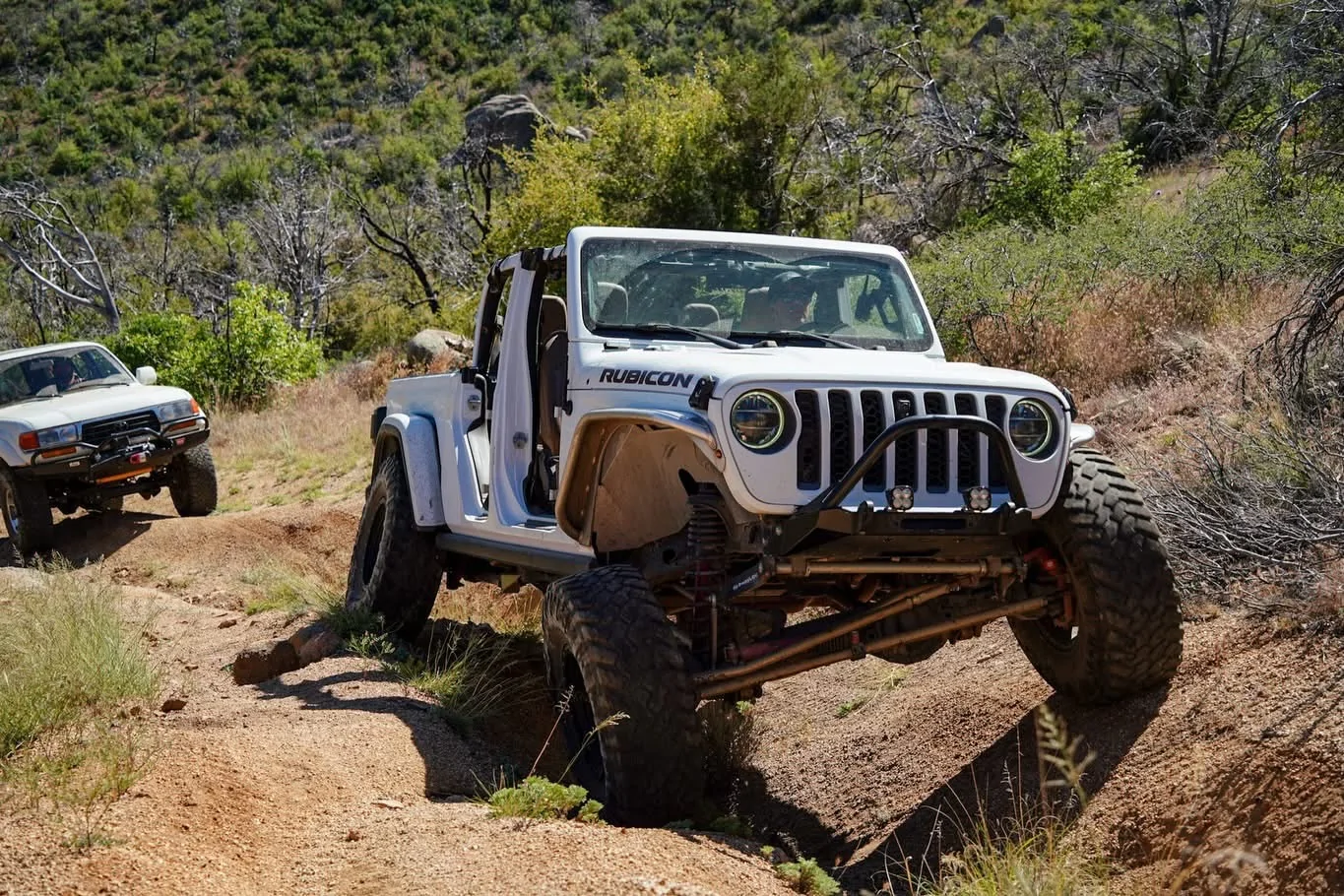 Jeep Gladiator Let AI Roast Your Jeep 🔥 IMG_2106 2