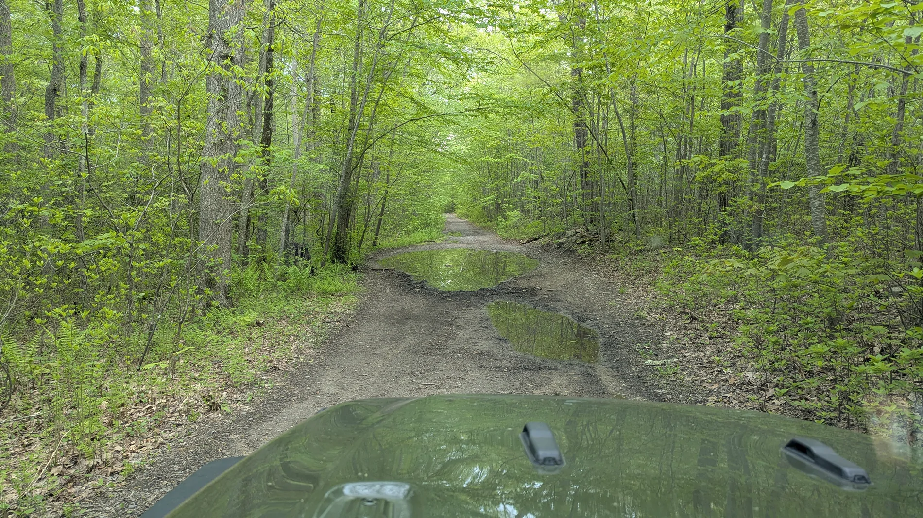 Jeep Gladiator What did you do WITH your Gladiator today? 1778899543316-u3