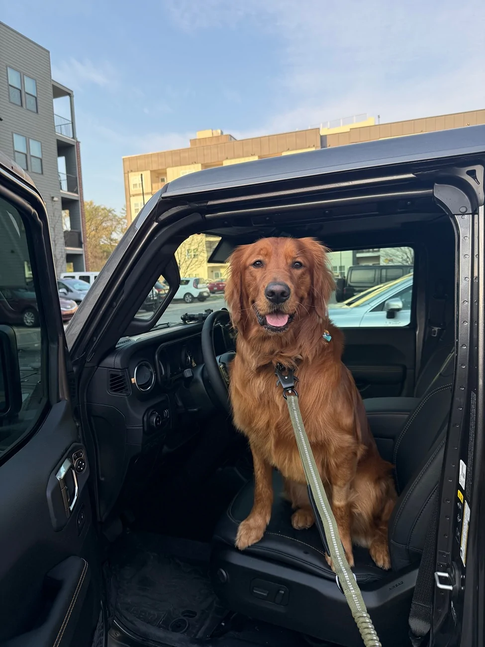 Jeep Gladiator Let’s see your pets cause they are the best companion you can have!!!!! IMG_4002