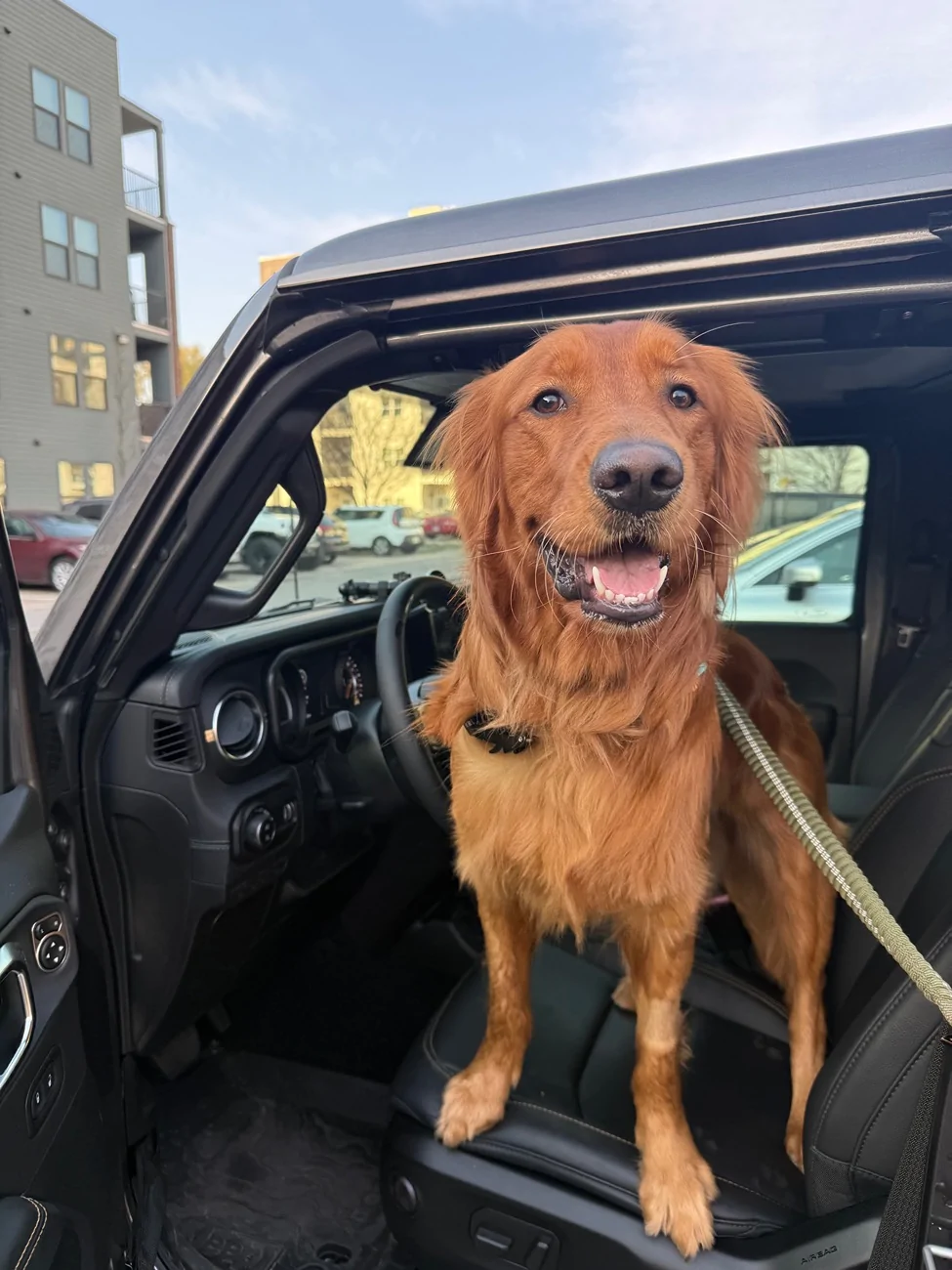 Jeep Gladiator Let’s see your pets cause they are the best companion you can have!!!!! IMG_3994