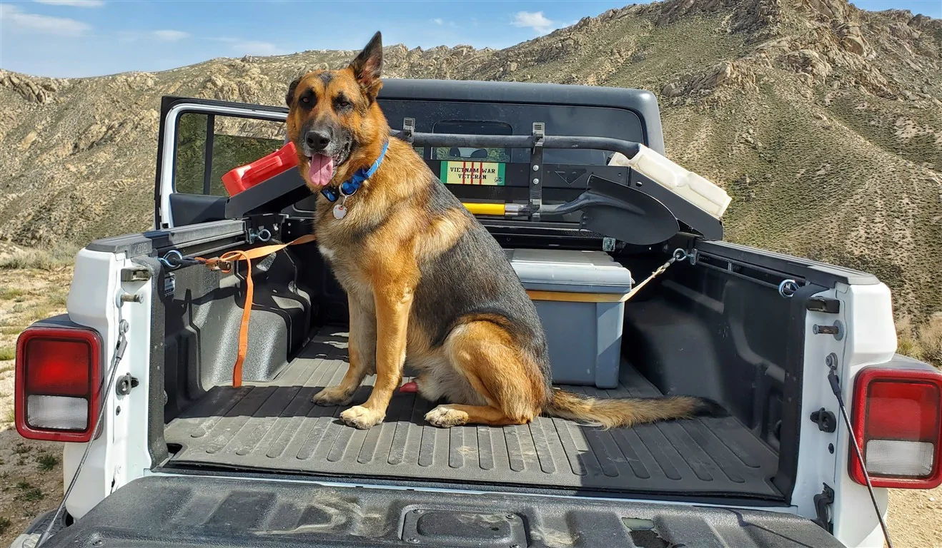 Jeep Gladiator Let’s see your pets cause they are the best companion you can have!!!!! 20220425_153349 (Medium)