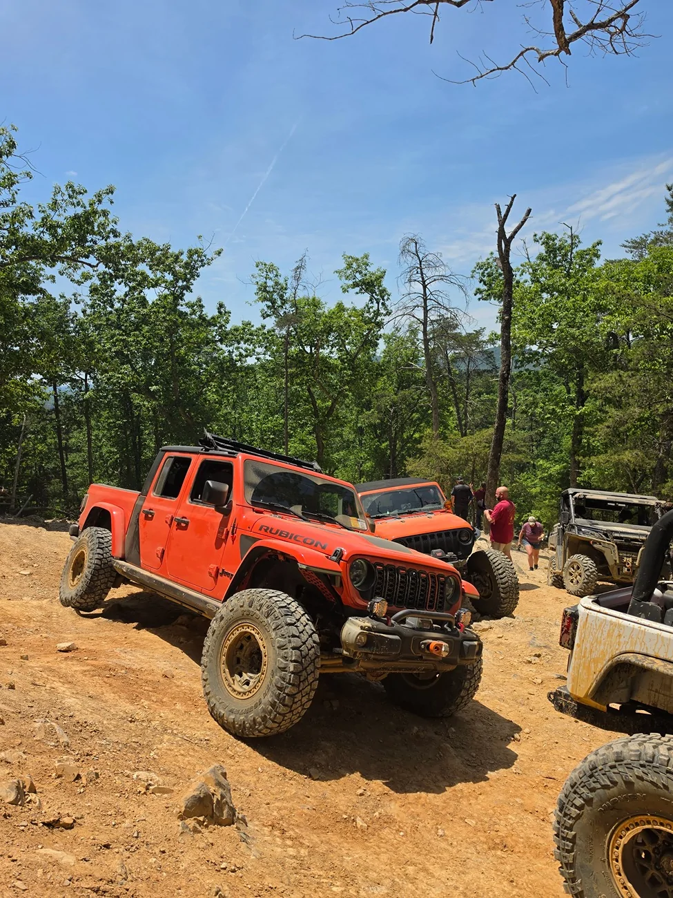 Jeep Gladiator What did you do WITH your Gladiator today? 21503
