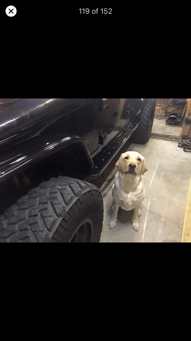Jeep Gladiator Let’s see your pets cause they are the best companion you can have!!!!! IMG_2043