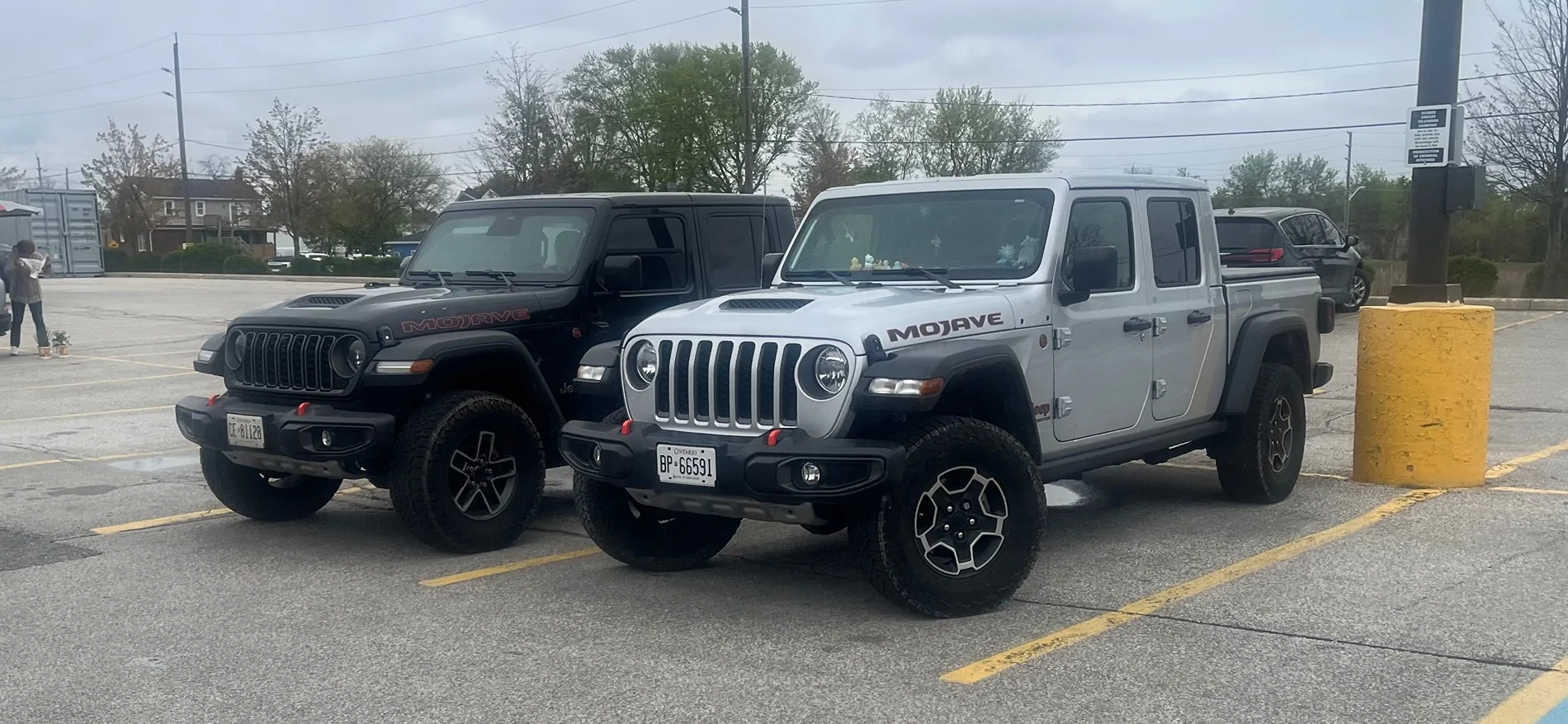 Jeep Gladiator Jeeps Parking Next To Jeeps IMG_1483