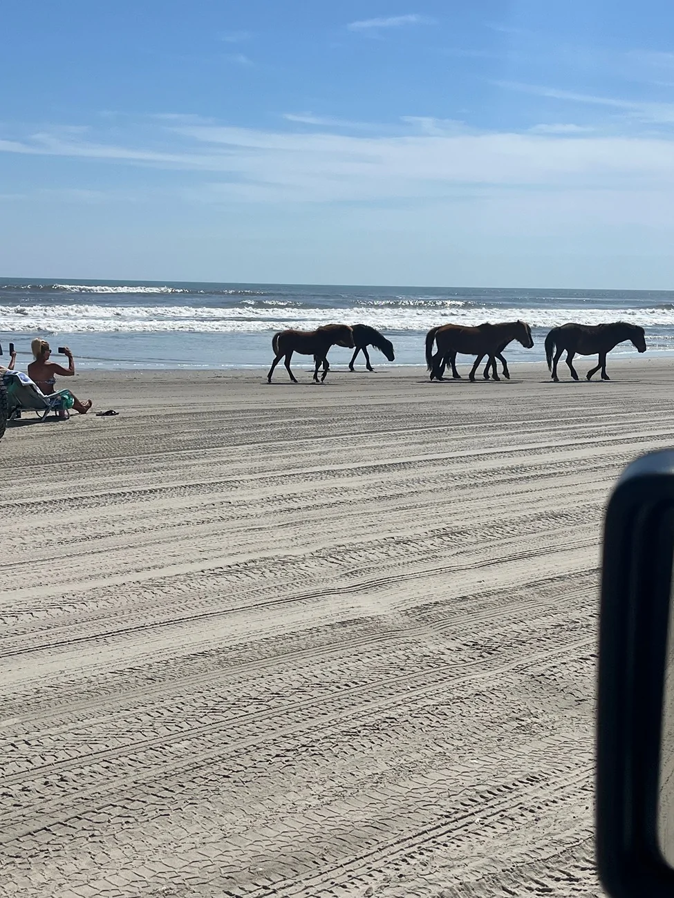 Jeep Gladiator My Happy Place….The Beach ! IMG_2942