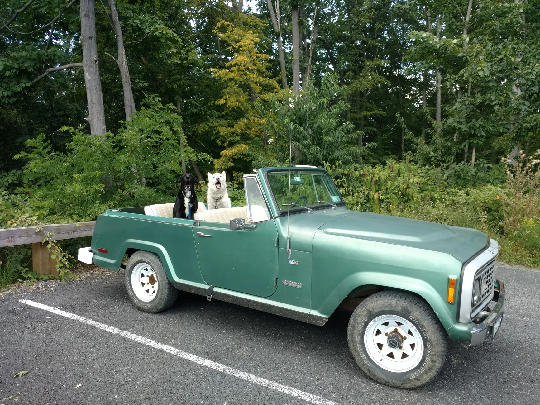 Jeep Gladiator Does Jeep purposely design their vehicles to get 19 mpg? IMG_20170830_144622627