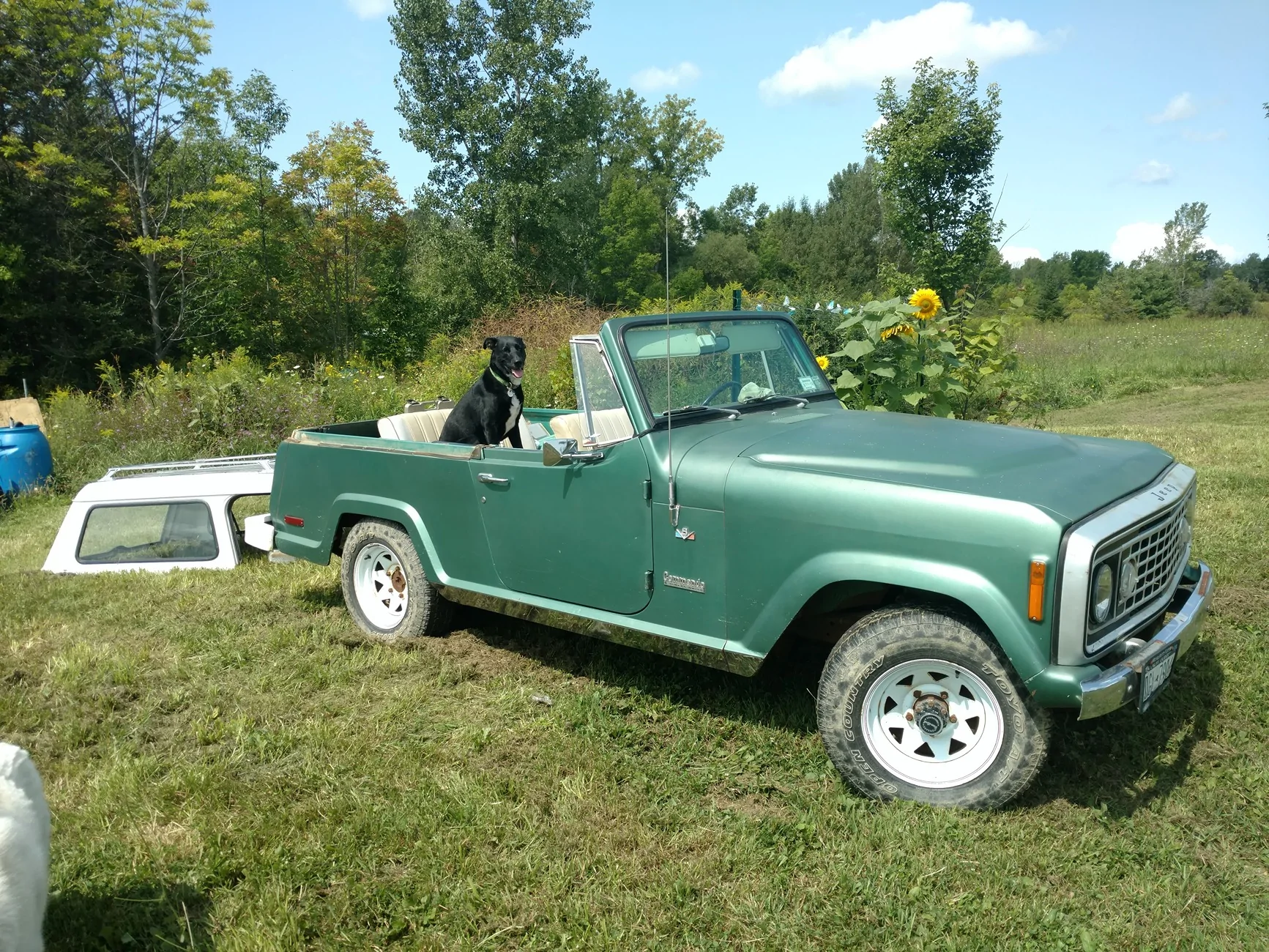 Jeep Gladiator Does Jeep purposely design their vehicles to get 19 mpg? IMG_20170826_120257136