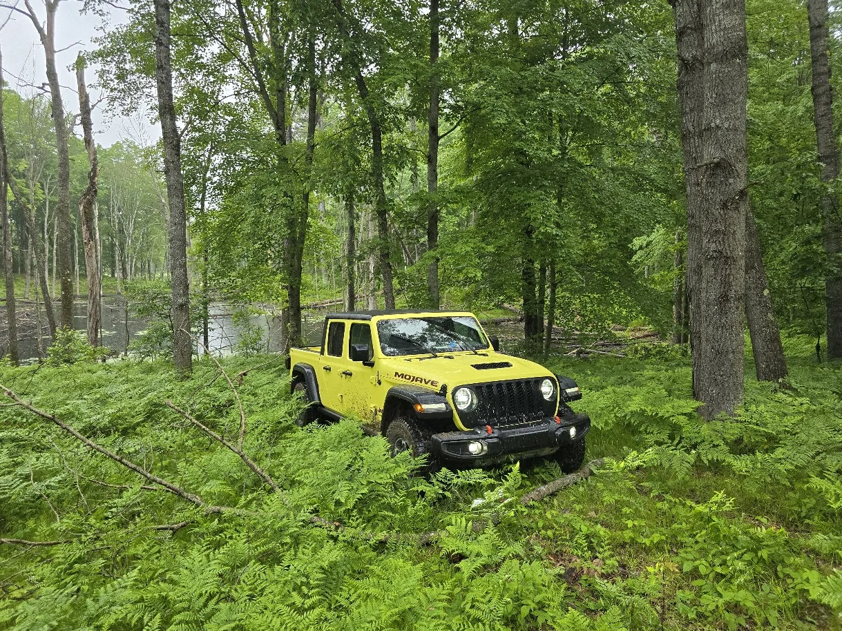 Jeep Gladiator Don't call it a build - 23 Mojave 20240601_175838