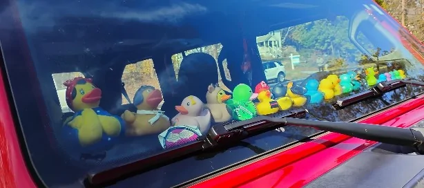 Jeep Gladiator What's one thing every Jeep owner should keep in their vehicle at all times? 1000028162