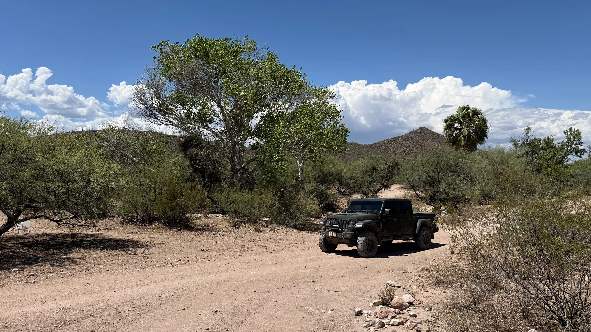 Jeep Gladiator Cool Daily Random JT Gladiator Pics -- Post Em! 📸 IMG_3316