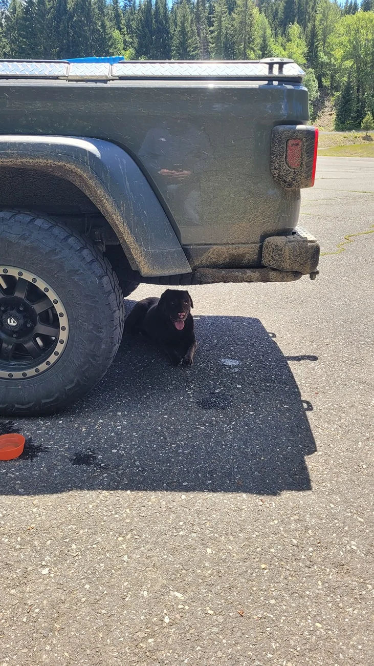 Jeep Gladiator Cool Daily Random JT Gladiator Pics -- Post Em! 📸 20260517_134403