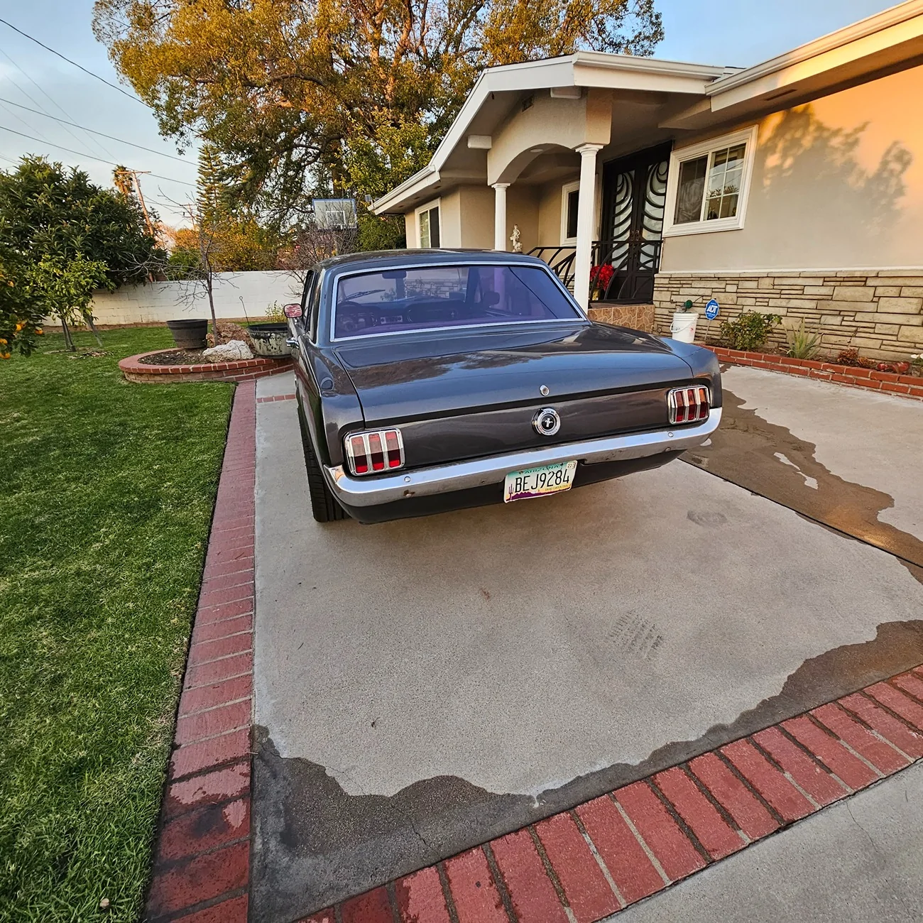 Jeep Gladiator WTT 1965 Mustang for gladiator 20240114_165122