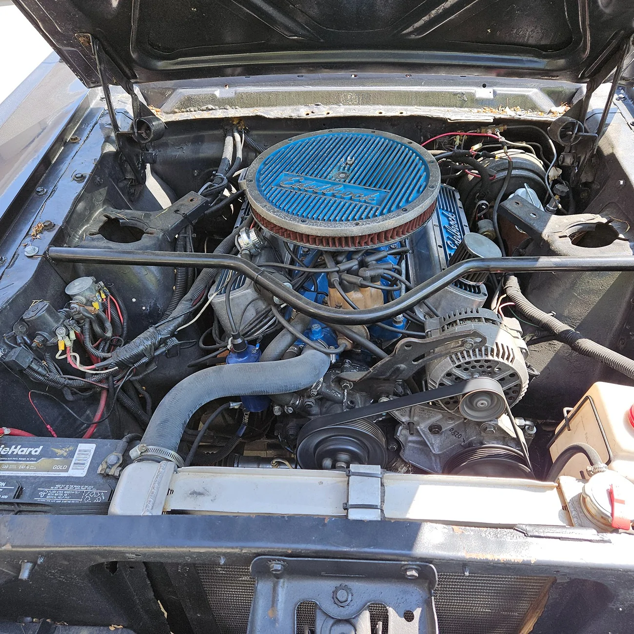Jeep Gladiator WTT 1965 Mustang for gladiator 20240419_150148