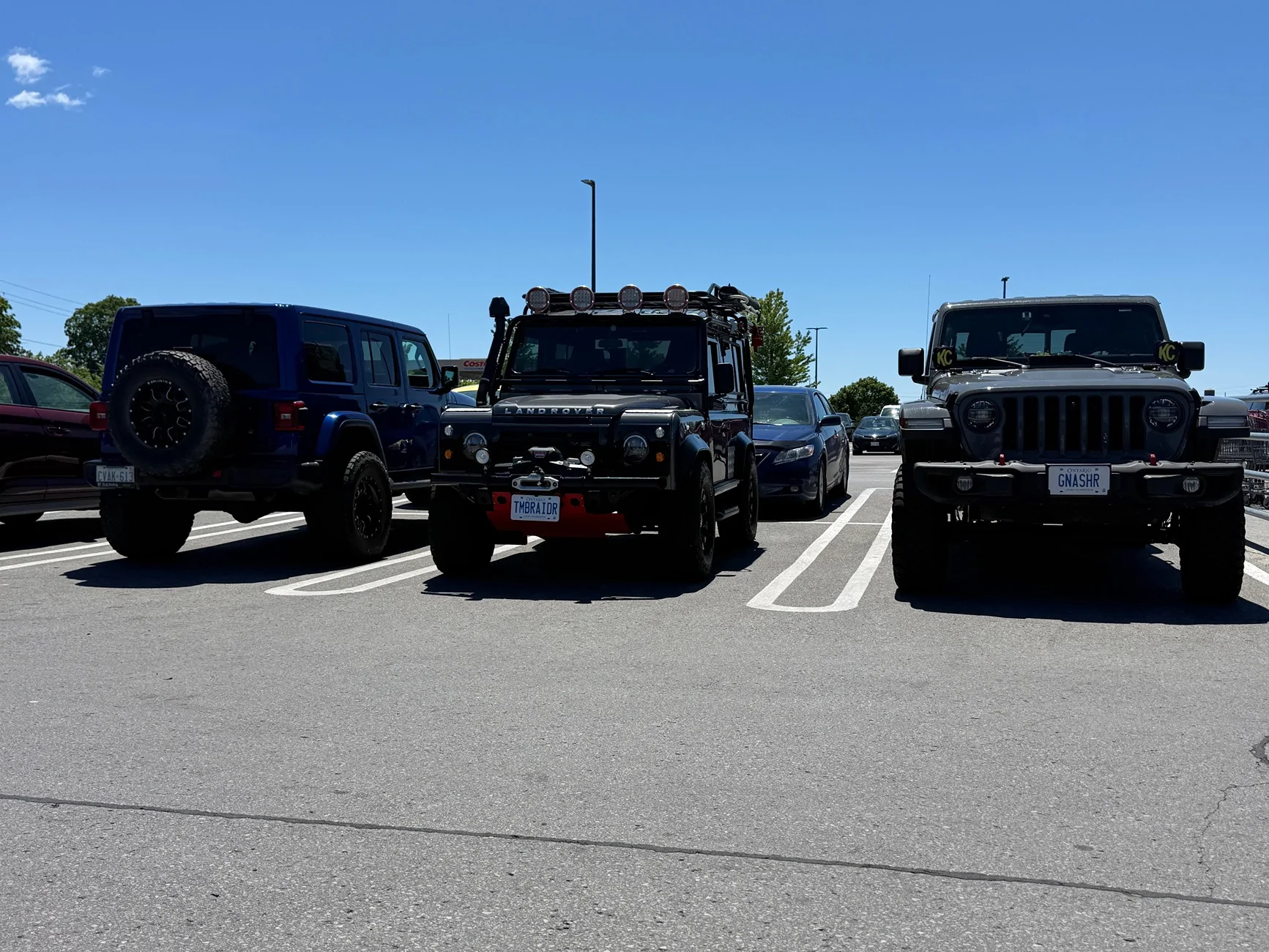 Jeep Gladiator Jeeps Parking Next To Jeeps IMG_0820