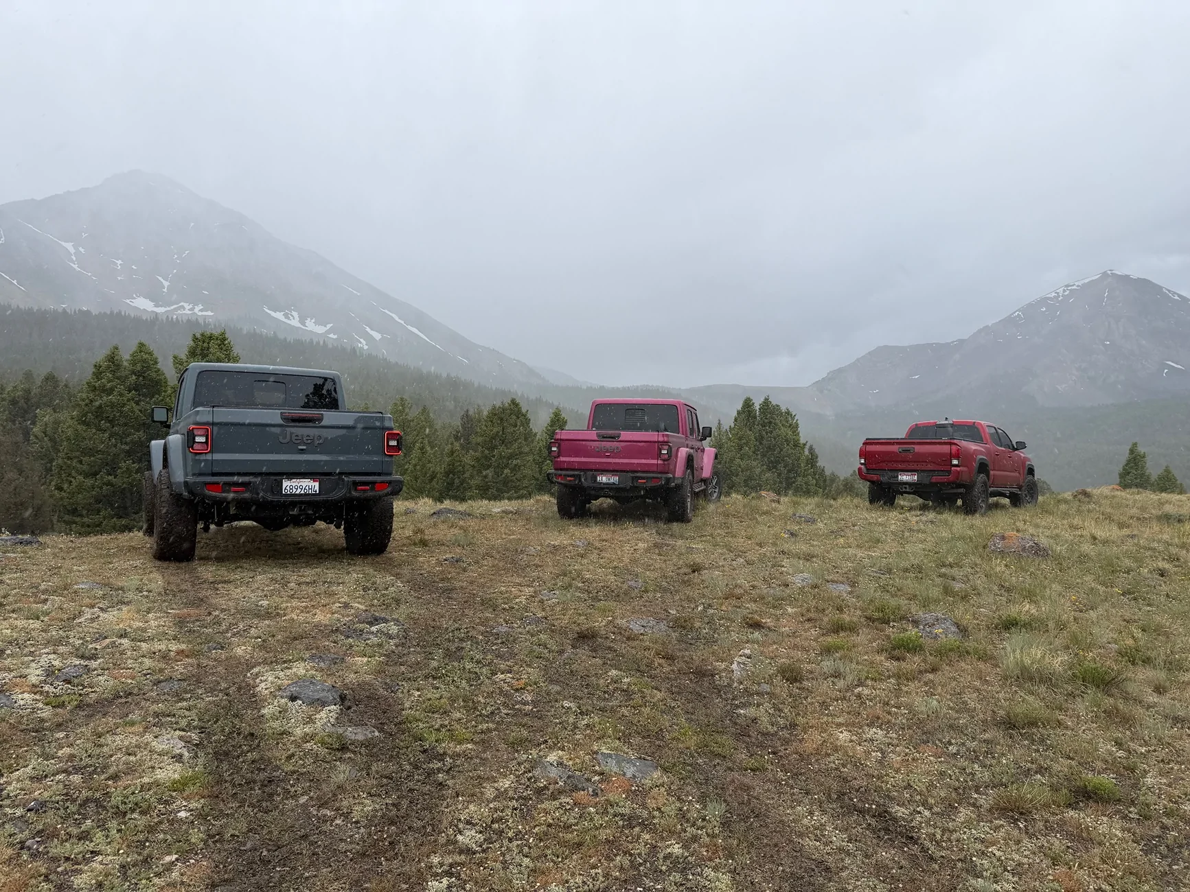 Jeep Gladiator Jeeps Parking Next To Jeeps IMG_1257