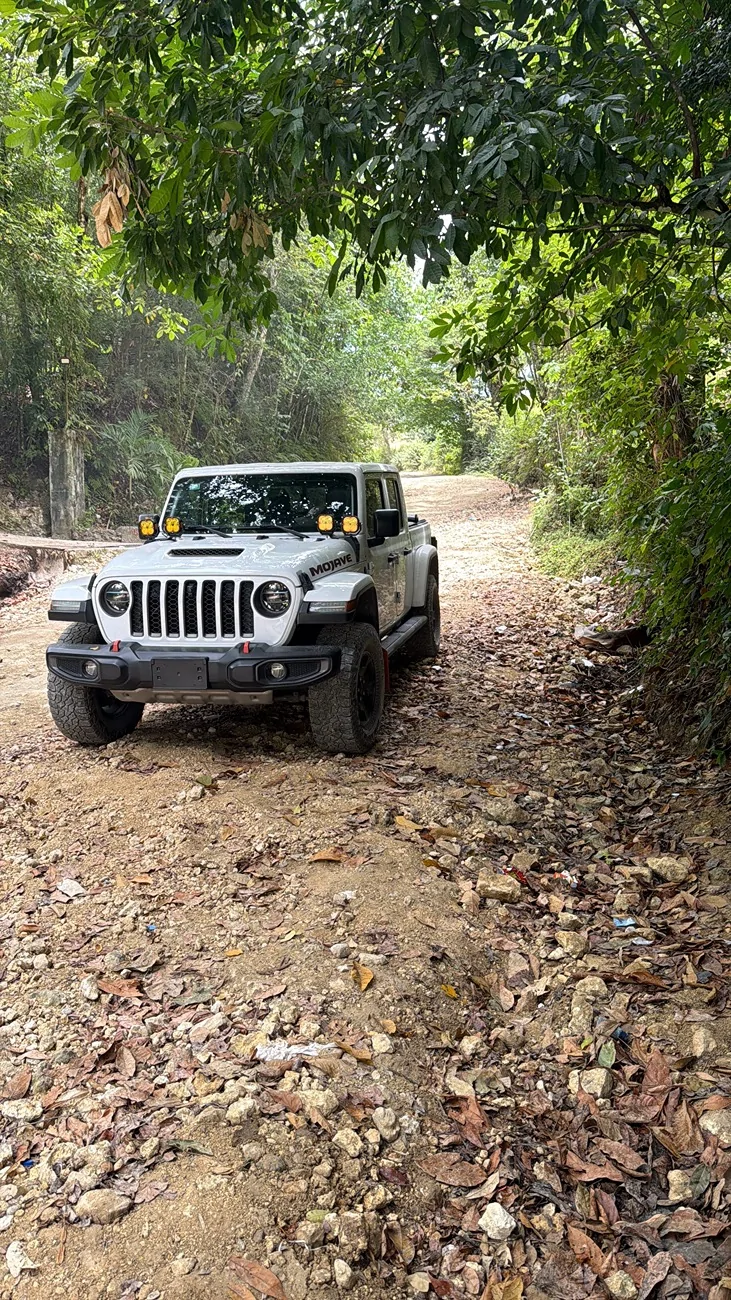 Jeep Gladiator Cool Daily Random JT Gladiator Pics -- Post Em! 📸 4A81614A-D844-4525-8F48-D880020AE76B