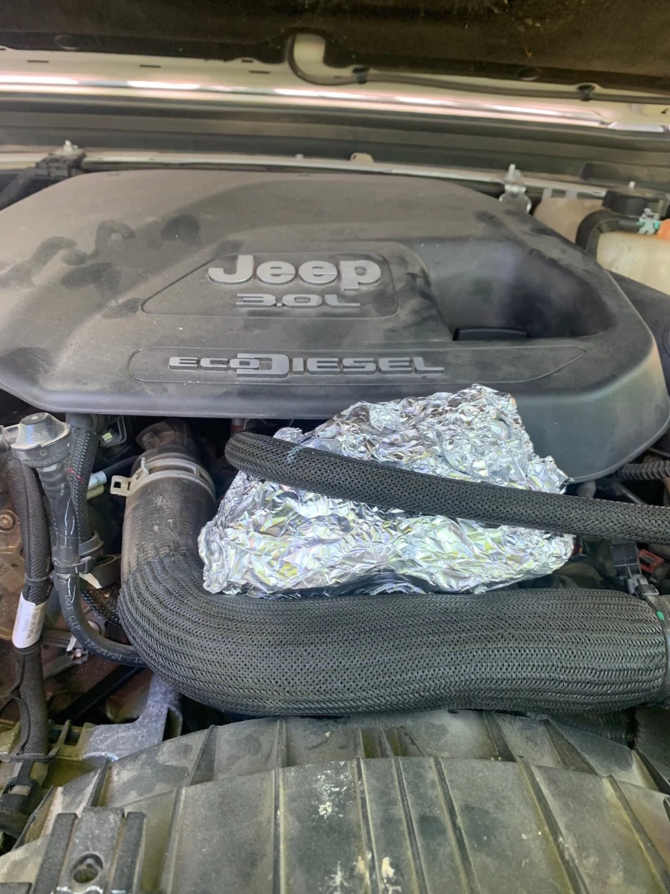 Jeep Gladiator From NW Louisiana to Canadian border and back gathering 13 badges along the way. IMG_4997