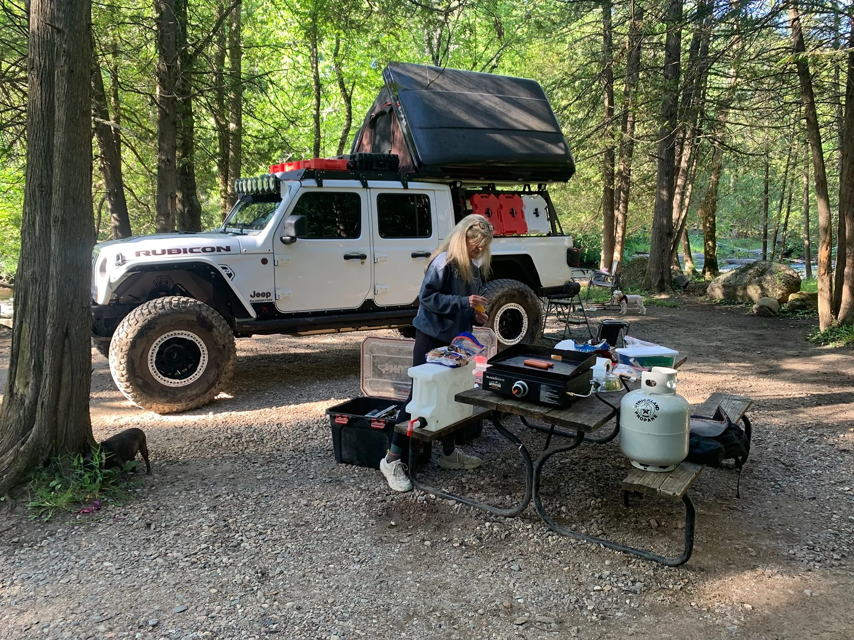 Jeep Gladiator From NW Louisiana to Canadian border and back gathering 13 badges along the way. IMG_5038