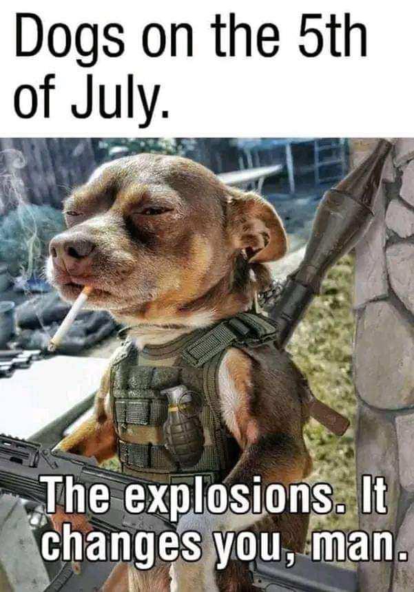 Jeep Gladiator O dogs-on-the-5th-of-july-explosions-1357682998
